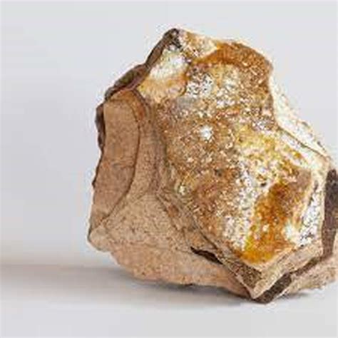 Ambergris Definition & Meaning